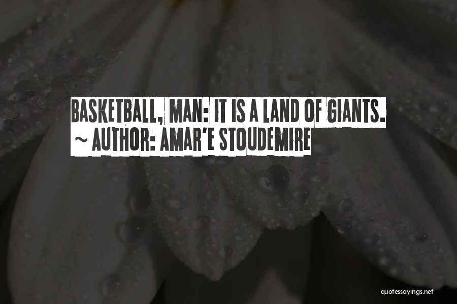 Amar'e Stoudemire Quotes: Basketball, Man: It Is A Land Of Giants.