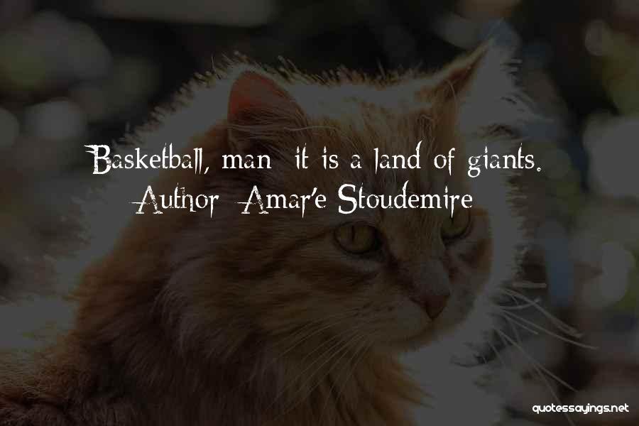 Amar'e Stoudemire Quotes: Basketball, Man: It Is A Land Of Giants.