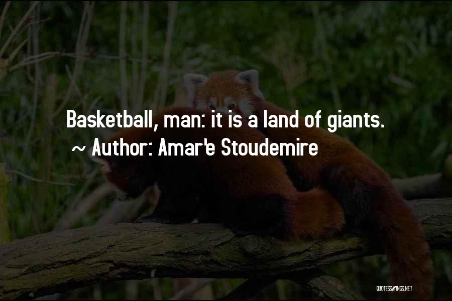 Amar'e Stoudemire Quotes: Basketball, Man: It Is A Land Of Giants.