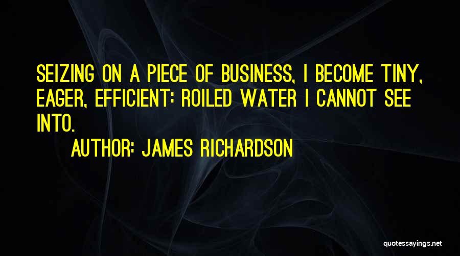 James Richardson Quotes: Seizing On A Piece Of Business, I Become Tiny, Eager, Efficient: Roiled Water I Cannot See Into.