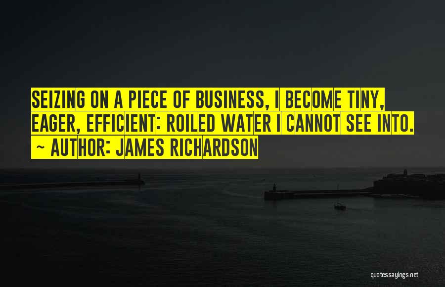 James Richardson Quotes: Seizing On A Piece Of Business, I Become Tiny, Eager, Efficient: Roiled Water I Cannot See Into.