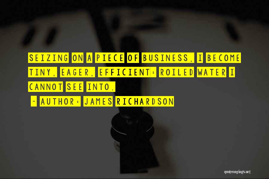 James Richardson Quotes: Seizing On A Piece Of Business, I Become Tiny, Eager, Efficient: Roiled Water I Cannot See Into.