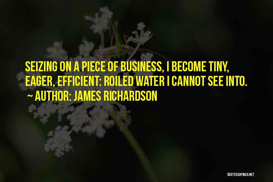 James Richardson Quotes: Seizing On A Piece Of Business, I Become Tiny, Eager, Efficient: Roiled Water I Cannot See Into.