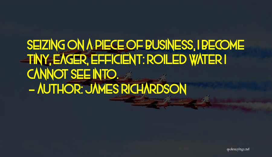 James Richardson Quotes: Seizing On A Piece Of Business, I Become Tiny, Eager, Efficient: Roiled Water I Cannot See Into.