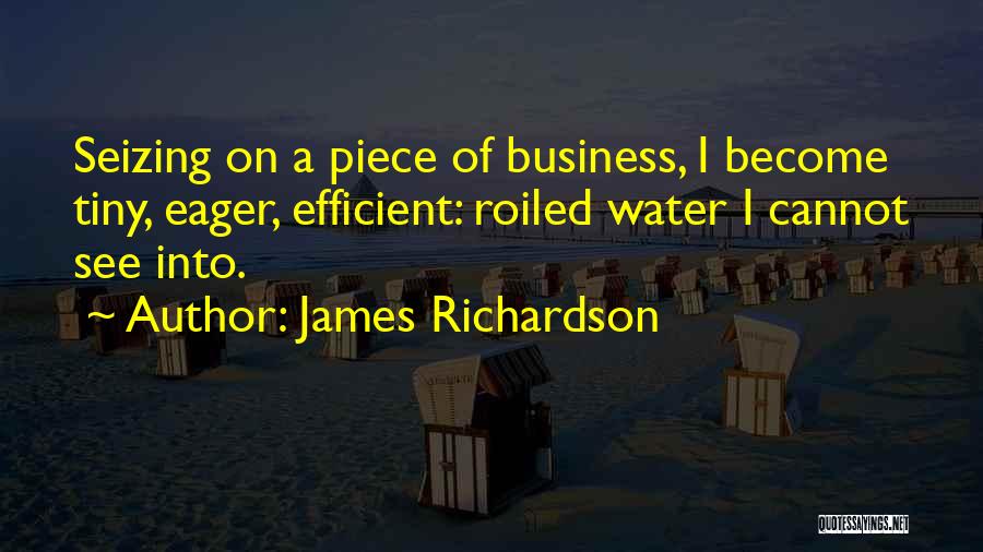 James Richardson Quotes: Seizing On A Piece Of Business, I Become Tiny, Eager, Efficient: Roiled Water I Cannot See Into.