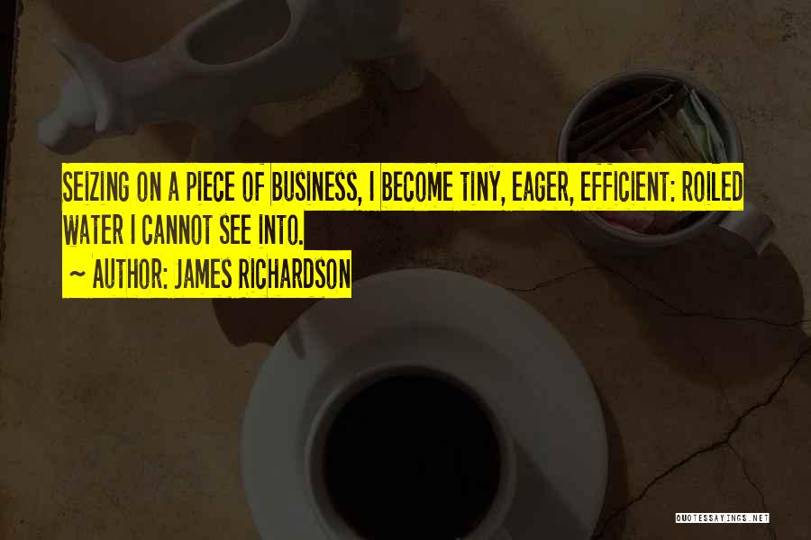 James Richardson Quotes: Seizing On A Piece Of Business, I Become Tiny, Eager, Efficient: Roiled Water I Cannot See Into.