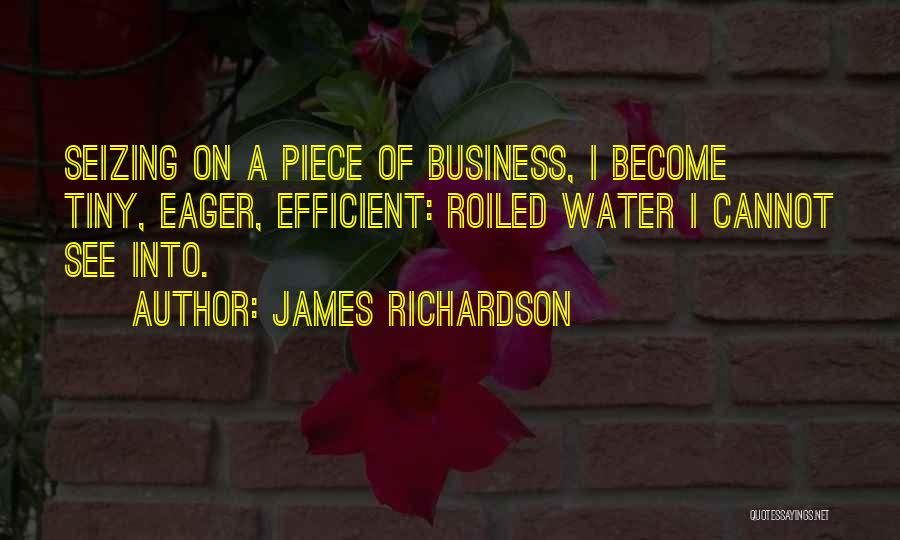 James Richardson Quotes: Seizing On A Piece Of Business, I Become Tiny, Eager, Efficient: Roiled Water I Cannot See Into.