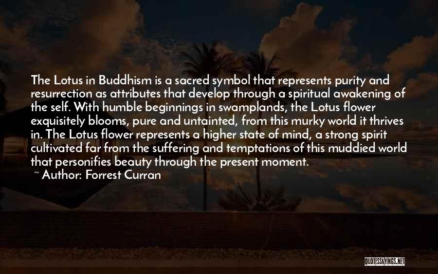 Forrest Curran Quotes: The Lotus In Buddhism Is A Sacred Symbol That Represents Purity And Resurrection As Attributes That Develop Through A Spiritual