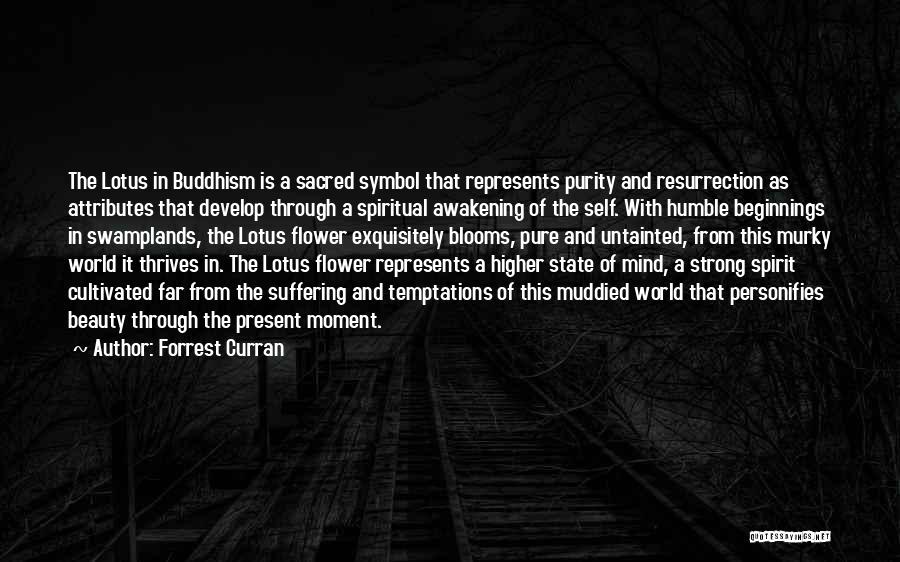 Forrest Curran Quotes: The Lotus In Buddhism Is A Sacred Symbol That Represents Purity And Resurrection As Attributes That Develop Through A Spiritual