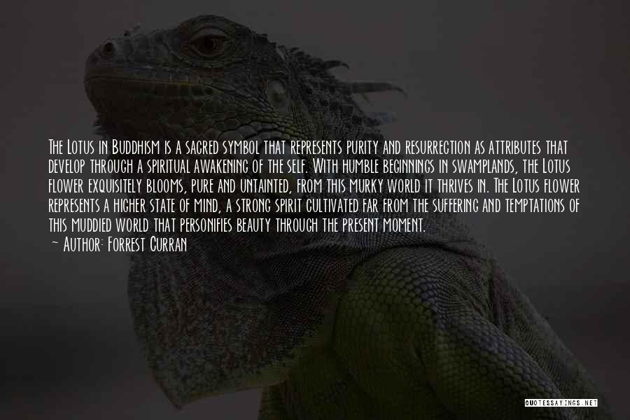 Forrest Curran Quotes: The Lotus In Buddhism Is A Sacred Symbol That Represents Purity And Resurrection As Attributes That Develop Through A Spiritual