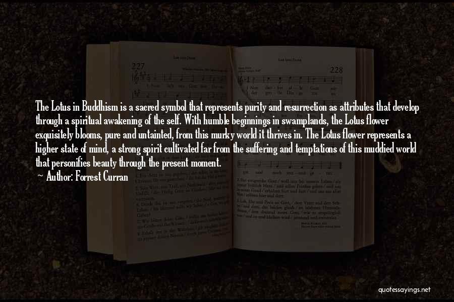 Forrest Curran Quotes: The Lotus In Buddhism Is A Sacred Symbol That Represents Purity And Resurrection As Attributes That Develop Through A Spiritual