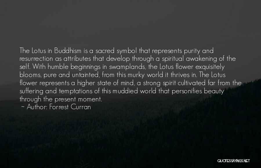 Forrest Curran Quotes: The Lotus In Buddhism Is A Sacred Symbol That Represents Purity And Resurrection As Attributes That Develop Through A Spiritual