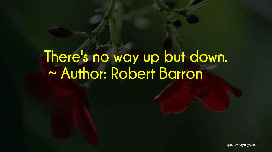 Robert Barron Quotes: There's No Way Up But Down.