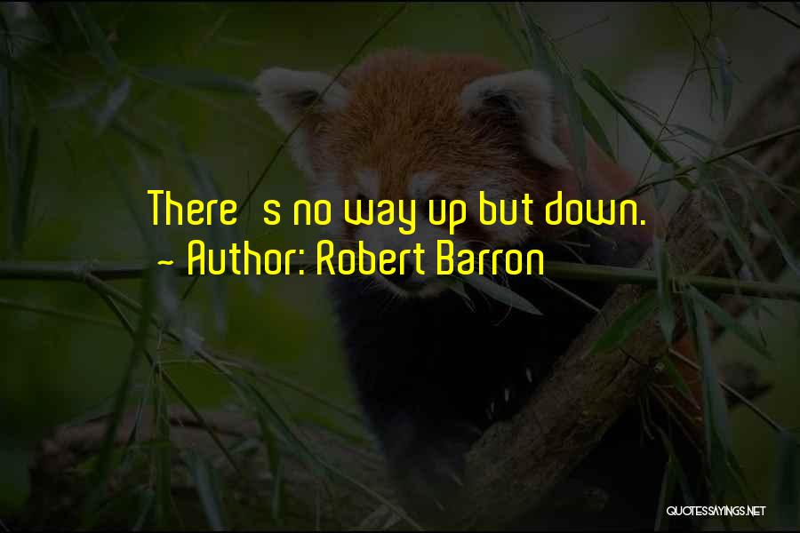 Robert Barron Quotes: There's No Way Up But Down.
