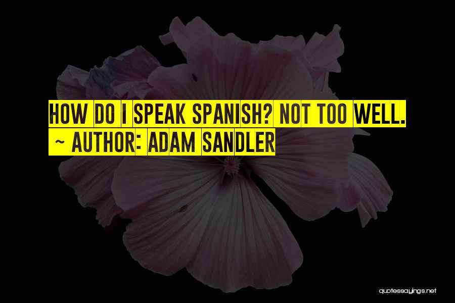 Adam Sandler Quotes: How Do I Speak Spanish? Not Too Well.