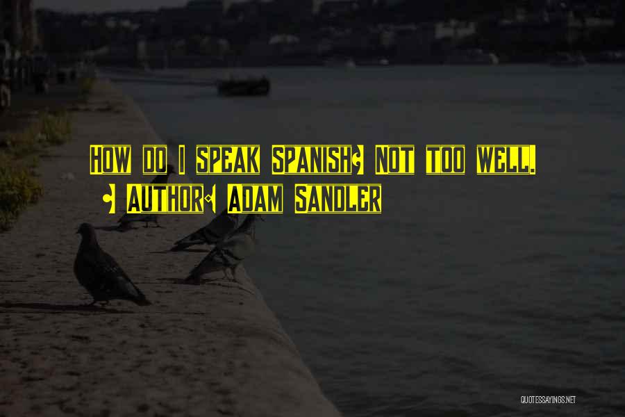 Adam Sandler Quotes: How Do I Speak Spanish? Not Too Well.