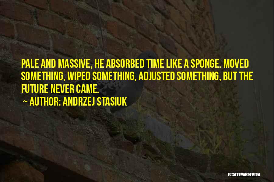 Andrzej Stasiuk Quotes: Pale And Massive, He Absorbed Time Like A Sponge. Moved Something, Wiped Something, Adjusted Something, But The Future Never Came.