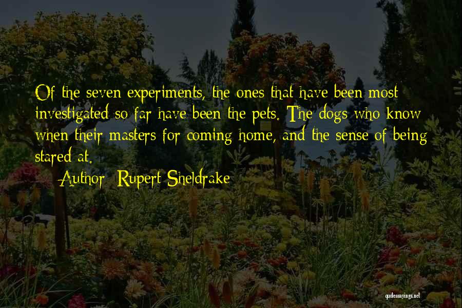 Rupert Sheldrake Quotes: Of The Seven Experiments, The Ones That Have Been Most Investigated So Far Have Been The Pets. The Dogs Who