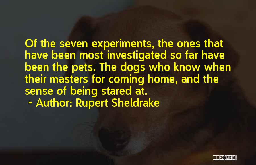 Rupert Sheldrake Quotes: Of The Seven Experiments, The Ones That Have Been Most Investigated So Far Have Been The Pets. The Dogs Who