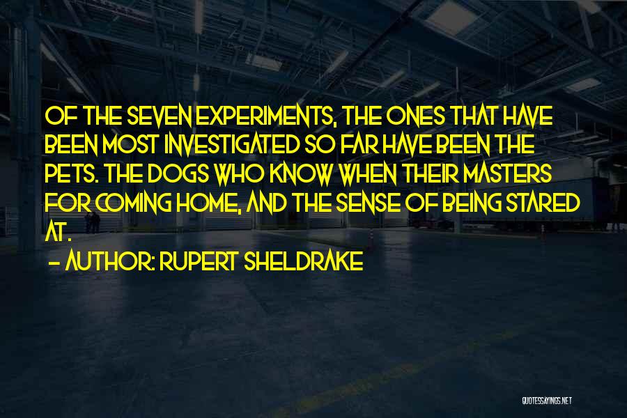 Rupert Sheldrake Quotes: Of The Seven Experiments, The Ones That Have Been Most Investigated So Far Have Been The Pets. The Dogs Who
