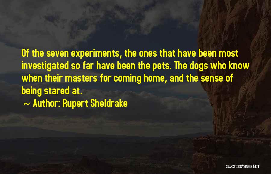 Rupert Sheldrake Quotes: Of The Seven Experiments, The Ones That Have Been Most Investigated So Far Have Been The Pets. The Dogs Who