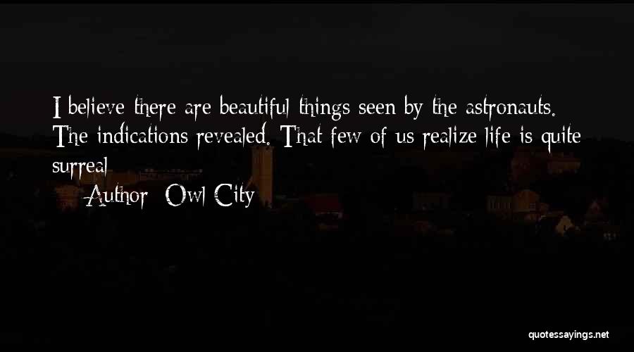 Owl City Quotes: I Believe There Are Beautiful Things Seen By The Astronauts. The Indications Revealed. That Few Of Us Realize Life Is