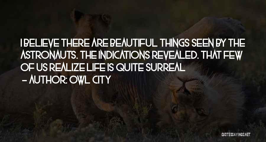 Owl City Quotes: I Believe There Are Beautiful Things Seen By The Astronauts. The Indications Revealed. That Few Of Us Realize Life Is