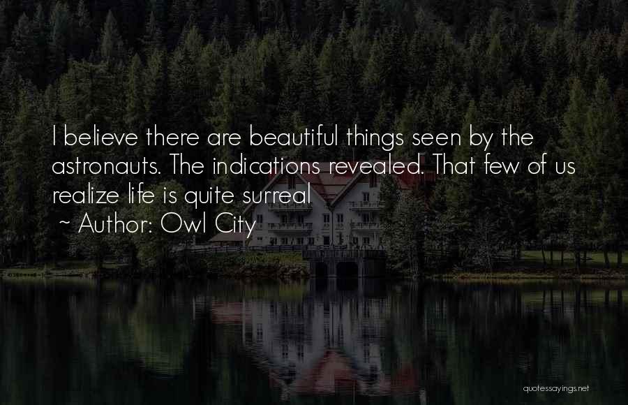 Owl City Quotes: I Believe There Are Beautiful Things Seen By The Astronauts. The Indications Revealed. That Few Of Us Realize Life Is