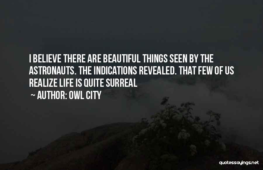 Owl City Quotes: I Believe There Are Beautiful Things Seen By The Astronauts. The Indications Revealed. That Few Of Us Realize Life Is