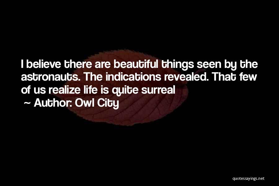 Owl City Quotes: I Believe There Are Beautiful Things Seen By The Astronauts. The Indications Revealed. That Few Of Us Realize Life Is