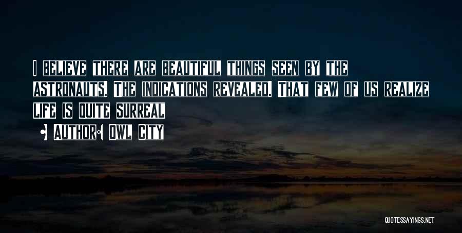 Owl City Quotes: I Believe There Are Beautiful Things Seen By The Astronauts. The Indications Revealed. That Few Of Us Realize Life Is