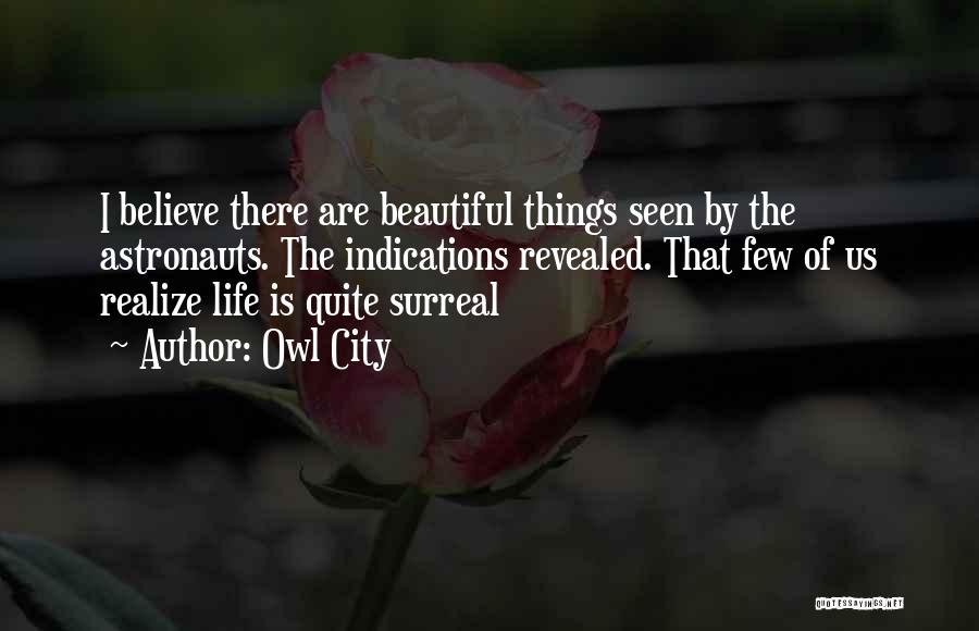 Owl City Quotes: I Believe There Are Beautiful Things Seen By The Astronauts. The Indications Revealed. That Few Of Us Realize Life Is