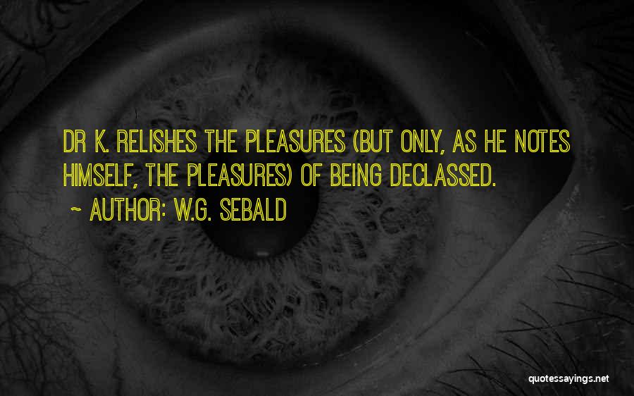 W.G. Sebald Quotes: Dr K. Relishes The Pleasures (but Only, As He Notes Himself, The Pleasures) Of Being Declassed.