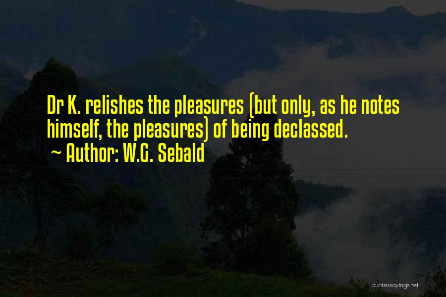 W.G. Sebald Quotes: Dr K. Relishes The Pleasures (but Only, As He Notes Himself, The Pleasures) Of Being Declassed.