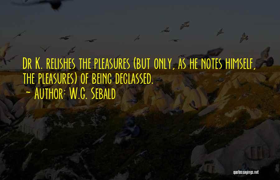 W.G. Sebald Quotes: Dr K. Relishes The Pleasures (but Only, As He Notes Himself, The Pleasures) Of Being Declassed.