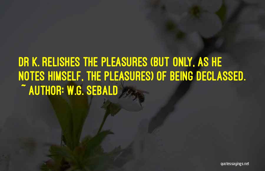 W.G. Sebald Quotes: Dr K. Relishes The Pleasures (but Only, As He Notes Himself, The Pleasures) Of Being Declassed.