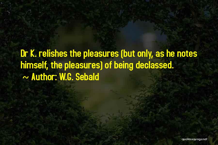 W.G. Sebald Quotes: Dr K. Relishes The Pleasures (but Only, As He Notes Himself, The Pleasures) Of Being Declassed.