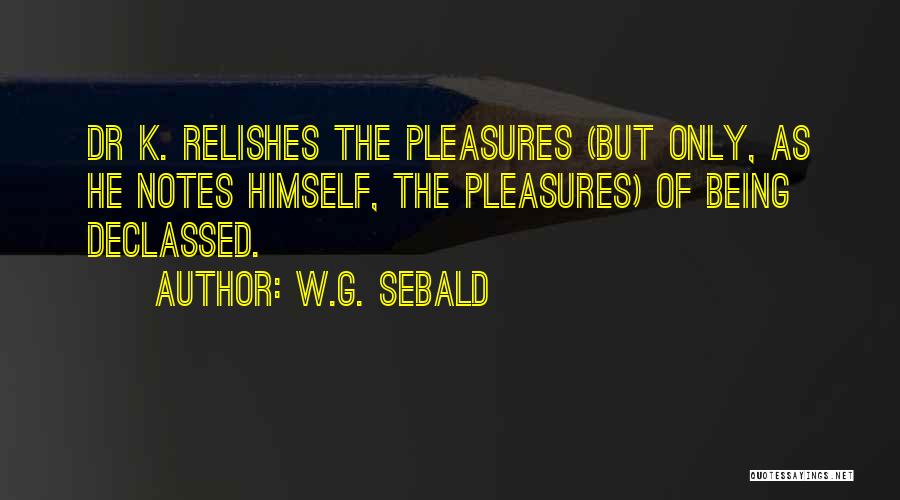 W.G. Sebald Quotes: Dr K. Relishes The Pleasures (but Only, As He Notes Himself, The Pleasures) Of Being Declassed.
