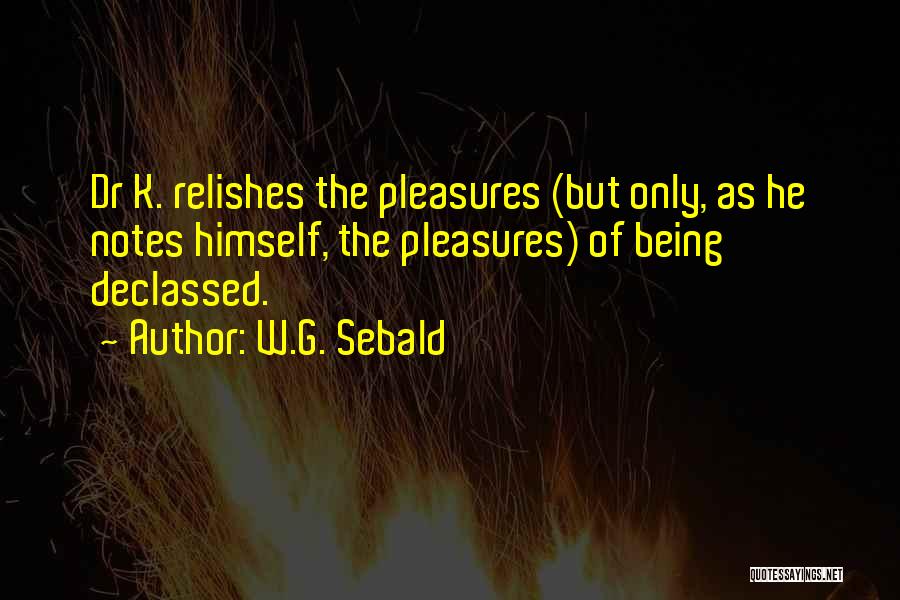 W.G. Sebald Quotes: Dr K. Relishes The Pleasures (but Only, As He Notes Himself, The Pleasures) Of Being Declassed.