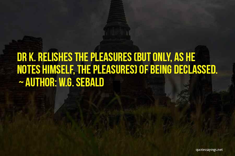 W.G. Sebald Quotes: Dr K. Relishes The Pleasures (but Only, As He Notes Himself, The Pleasures) Of Being Declassed.