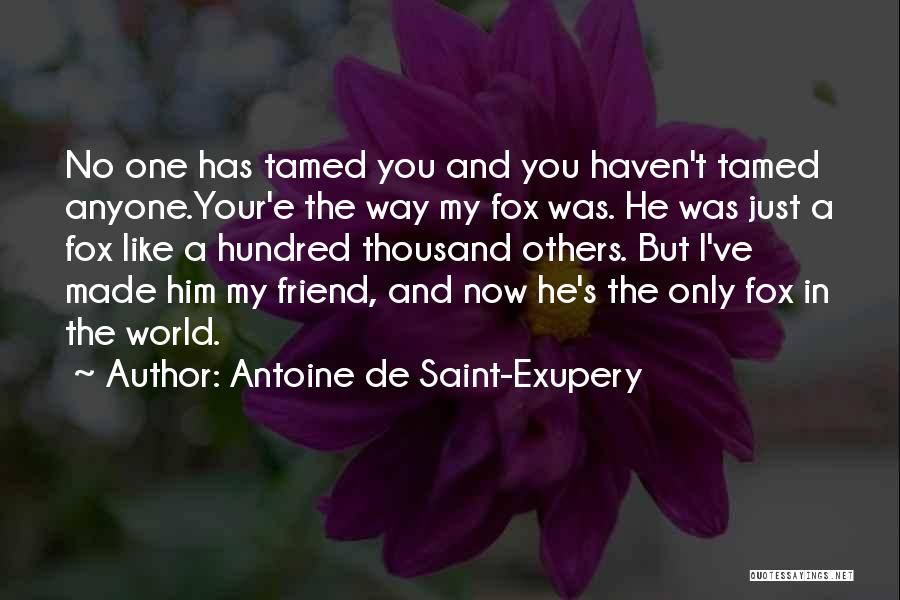 Antoine De Saint-Exupery Quotes: No One Has Tamed You And You Haven't Tamed Anyone.your'e The Way My Fox Was. He Was Just A Fox