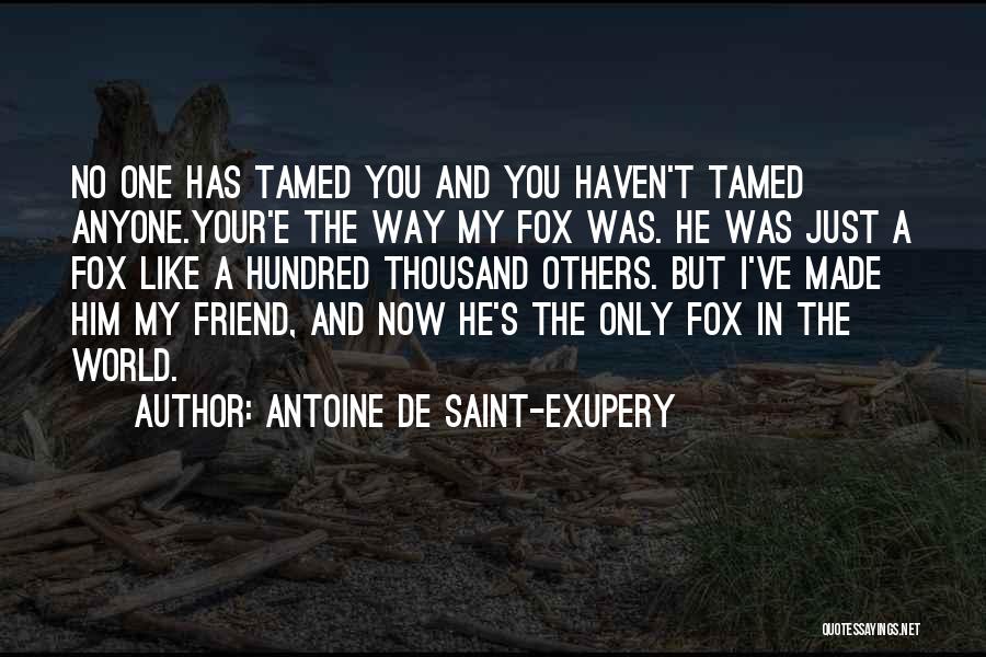 Antoine De Saint-Exupery Quotes: No One Has Tamed You And You Haven't Tamed Anyone.your'e The Way My Fox Was. He Was Just A Fox