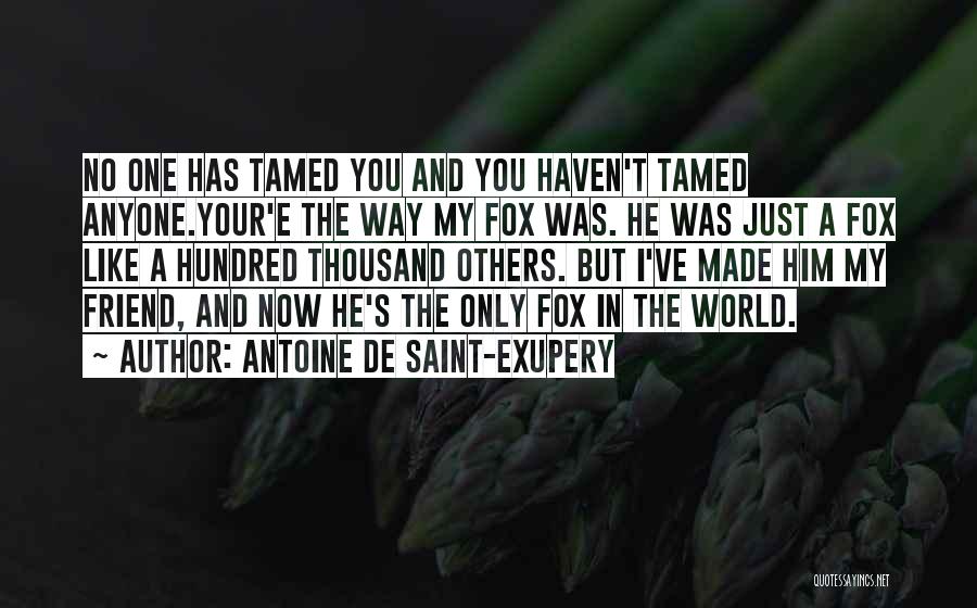 Antoine De Saint-Exupery Quotes: No One Has Tamed You And You Haven't Tamed Anyone.your'e The Way My Fox Was. He Was Just A Fox