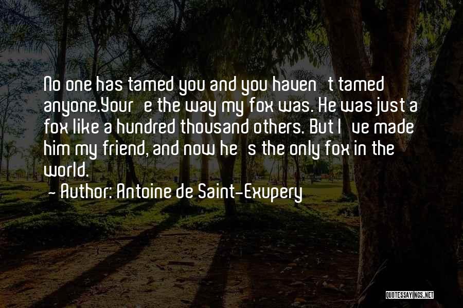 Antoine De Saint-Exupery Quotes: No One Has Tamed You And You Haven't Tamed Anyone.your'e The Way My Fox Was. He Was Just A Fox