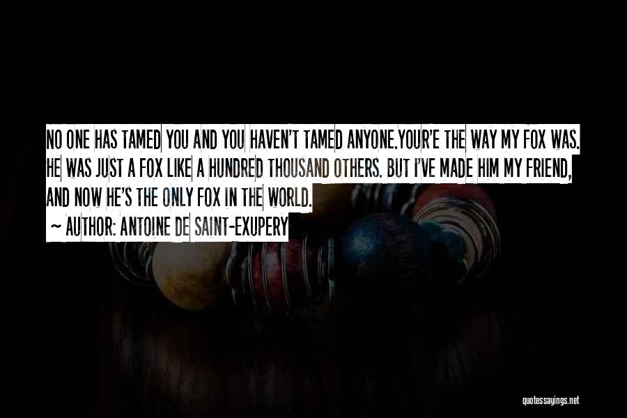Antoine De Saint-Exupery Quotes: No One Has Tamed You And You Haven't Tamed Anyone.your'e The Way My Fox Was. He Was Just A Fox