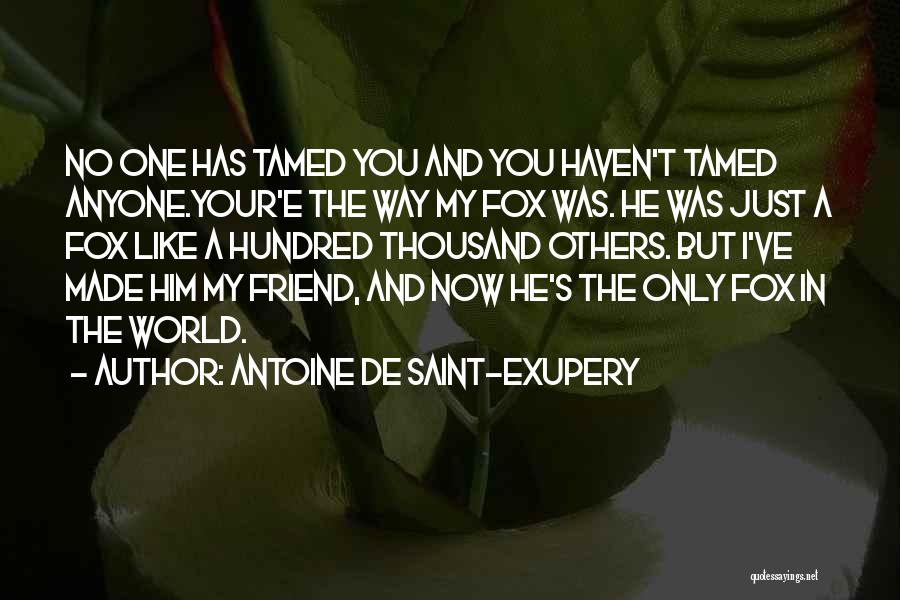 Antoine De Saint-Exupery Quotes: No One Has Tamed You And You Haven't Tamed Anyone.your'e The Way My Fox Was. He Was Just A Fox