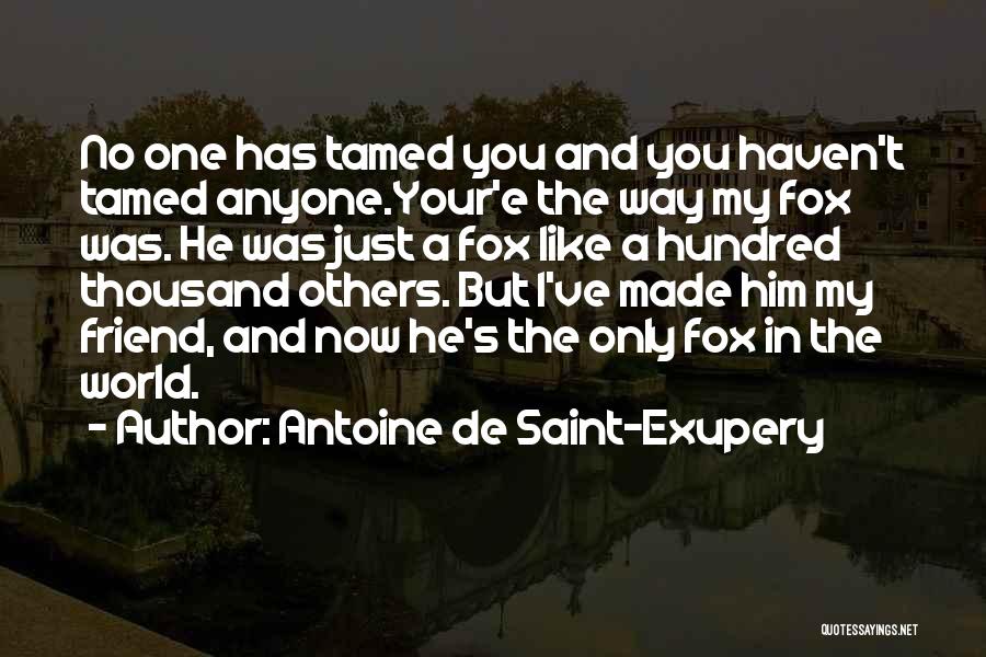 Antoine De Saint-Exupery Quotes: No One Has Tamed You And You Haven't Tamed Anyone.your'e The Way My Fox Was. He Was Just A Fox