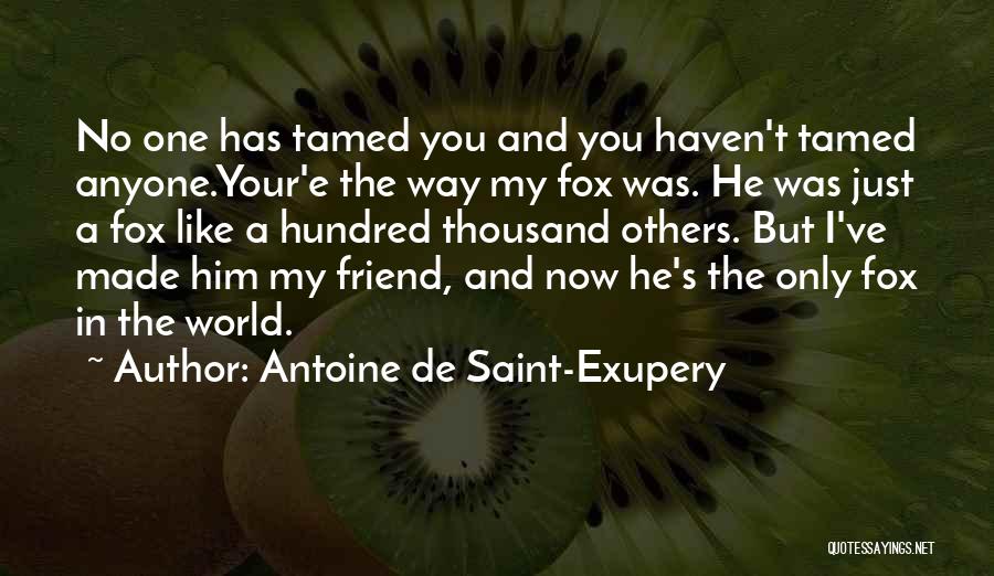 Antoine De Saint-Exupery Quotes: No One Has Tamed You And You Haven't Tamed Anyone.your'e The Way My Fox Was. He Was Just A Fox
