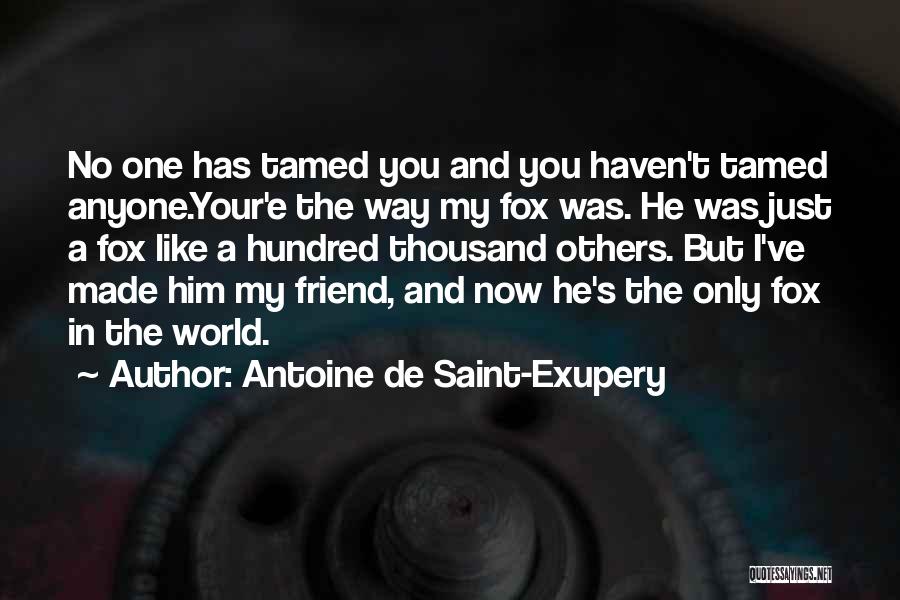 Antoine De Saint-Exupery Quotes: No One Has Tamed You And You Haven't Tamed Anyone.your'e The Way My Fox Was. He Was Just A Fox