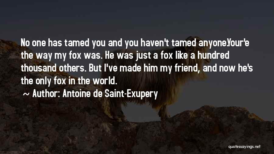 Antoine De Saint-Exupery Quotes: No One Has Tamed You And You Haven't Tamed Anyone.your'e The Way My Fox Was. He Was Just A Fox